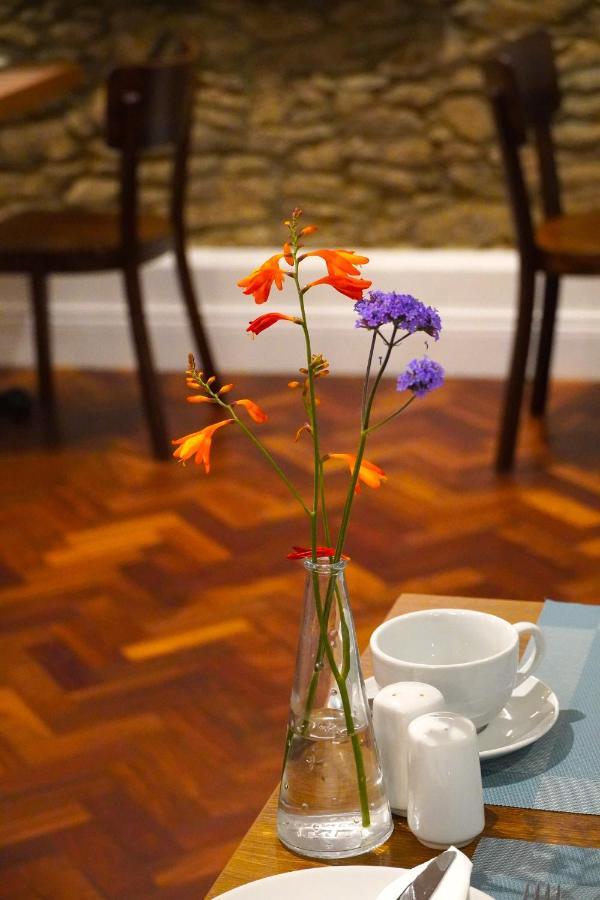 Dingle Garden Townhouse Exterior foto A vase of flowers