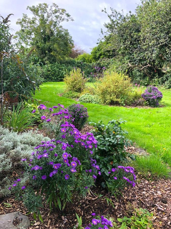 Dingle Garden Townhouse Exterior foto The gardens at the centre